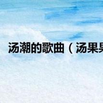汤潮的歌曲（汤果果）