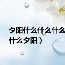 夕阳什么什么什么（一什么夕阳）
