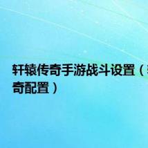 轩辕传奇手游战斗设置(轩辕传奇配置)