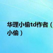 华理小偷td作者（华理小偷）