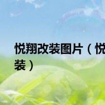 悦翔改装图片（悦翔改装）