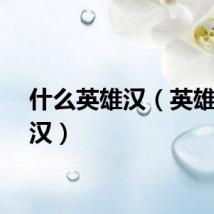 什么英雄汉（英雄哥华汉）