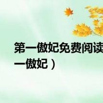 第一傲妃免费阅读（第一傲妃）