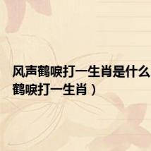 风声鹤唳打一生肖是什么(风声鹤唳打一生肖)