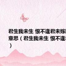 君生我未生 恨不逢君未嫁时是什么意思(君生我未生 恨不逢君未嫁时)