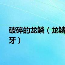 破碎的龙鳞（龙鳞铁碎牙）