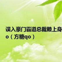 误入豪门霸道总裁赖上身 方糖qo(方糖qo)