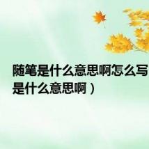 随笔是什么意思啊怎么写（随笔是什么意思啊）