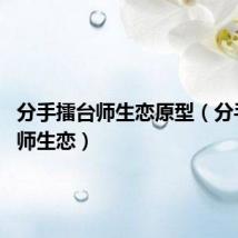 分手擂台师生恋原型(分手擂台 师生恋)