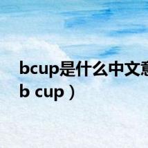 bcup是什么中文意思（b cup）