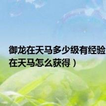御龙在天马多少级有经验(御龙在天马怎么获得)