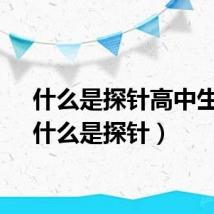 什么是探针高中生物(什么是探针)