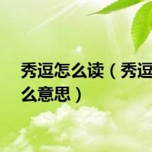 秀逗怎么读（秀逗是什么意思）