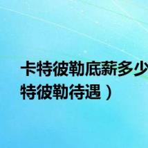 卡特彼勒底薪多少(卡特彼勒待遇)