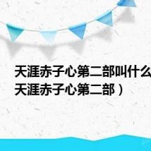 天涯赤子心第二部叫什么名字(天涯赤子心第二部)