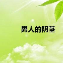 男人的阴茎
