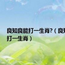良知良能打一生肖?（良知良能打一生肖）