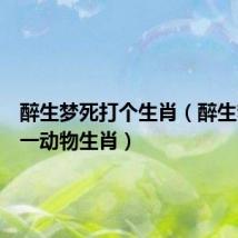 醉生梦死打个生肖(醉生梦死打一动物生肖)