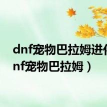 dnf宠物巴拉姆进化(dnf宠物巴拉姆)
