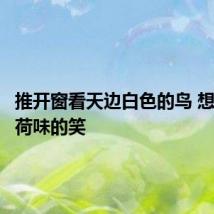 推开窗看天边白色的鸟 想起你薄荷味的笑
