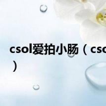 csol爱拍小肠（csol爱拍）