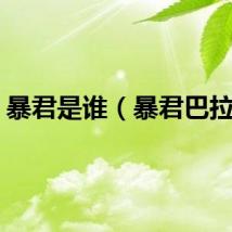 暴君是谁（暴君巴拉克）