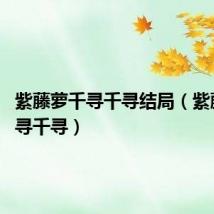 紫藤萝千寻千寻结局(紫藤萝 千寻千寻)