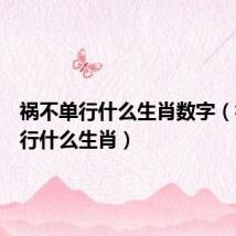 祸不单行什么生肖数字(祸不单行什么生肖)