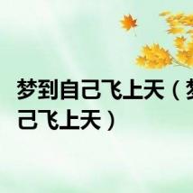 梦到自己飞上天（梦见自己飞上天）