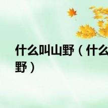 什么叫山野（什么的山野）