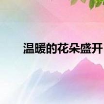 温暖的花朵盛开