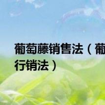 葡萄藤销售法（葡萄藤行销法）