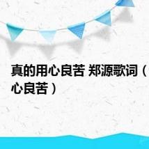 真的用心良苦 郑源歌词(真的用心良苦)