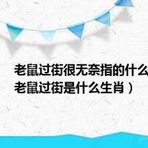 老鼠过街很无奈指的什么生肖(老鼠过街是什么生肖)
