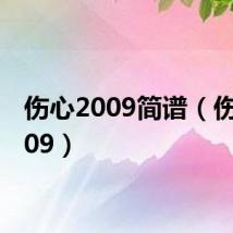 伤心2009简谱(伤心2009)