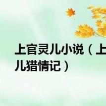 上官灵儿小说（上官灵儿猎情记）