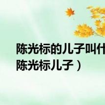 陈光标的儿子叫什么（陈光标儿子）