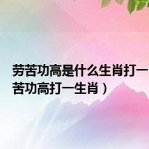 劳苦功高是什么生肖打一肖(劳苦功高打一生肖)