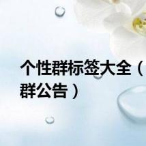 个性群标签大全（个性群公告）