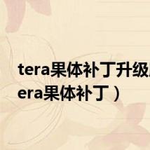 tera果体补丁升级版(tera果体补丁)