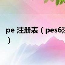 pe 注册表(pes6注册表)