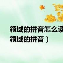 领域的拼音怎么读音(领域的拼音)