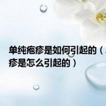 单纯疱疹是如何引起的(单纯疱疹是怎么引起的)
