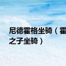 尼德霍格坐骑（霍迪尔之子坐骑）