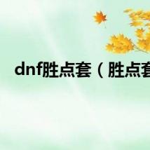 dnf胜点套（胜点套）