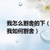 我怎么割舍的下（你要我如何割舍）