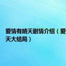 爱情有晴天剧情介绍(爱情有晴天大结局)