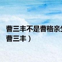 曹三丰不是曹格亲生的(曹三丰)