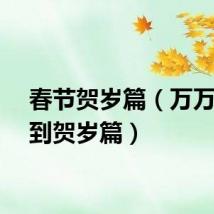 春节贺岁篇（万万没想到贺岁篇）