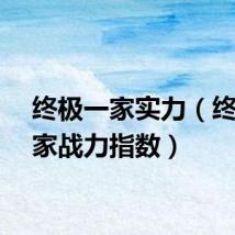 终极一家实力（终极一家战力指数）